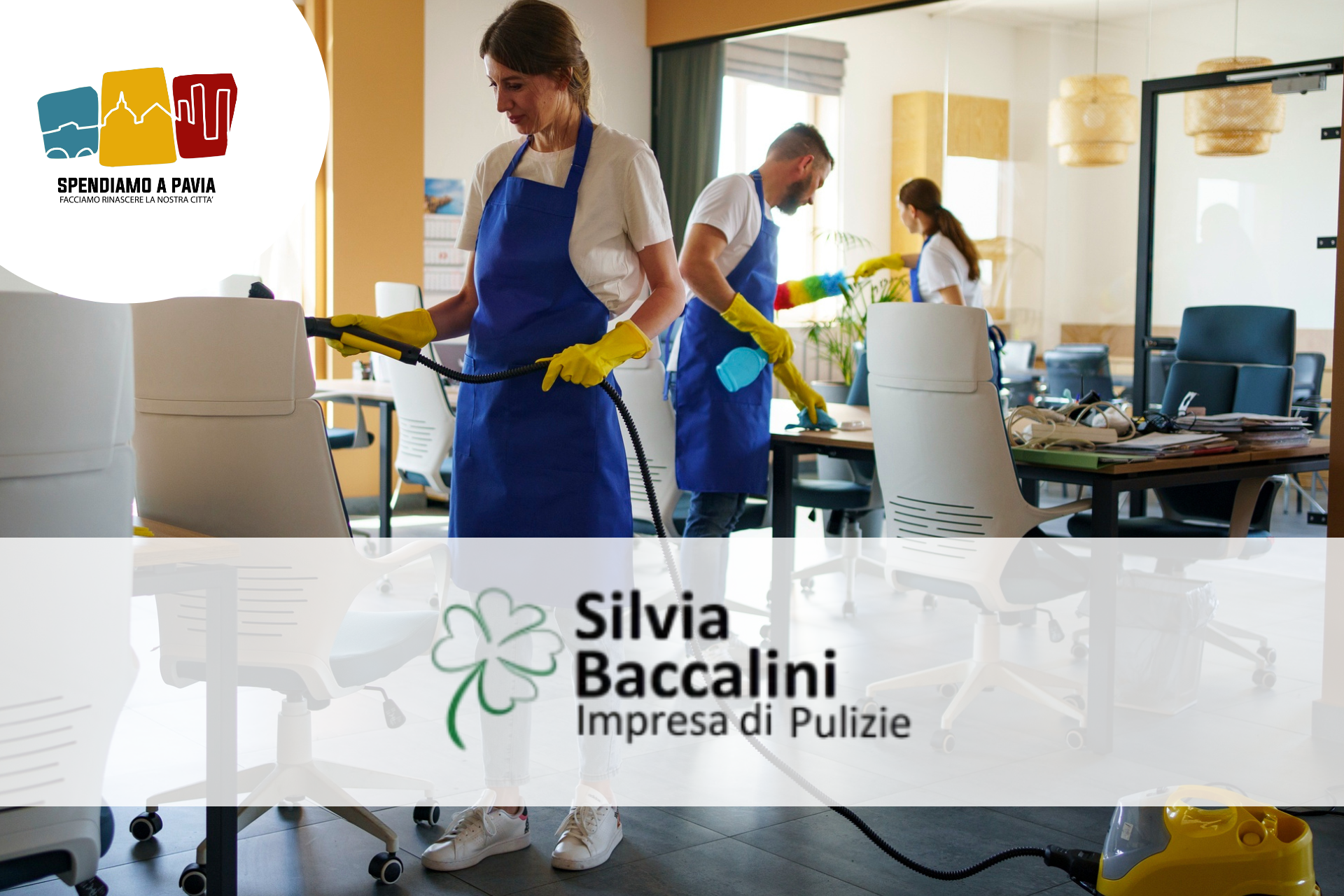 Banner_Baccalini.png