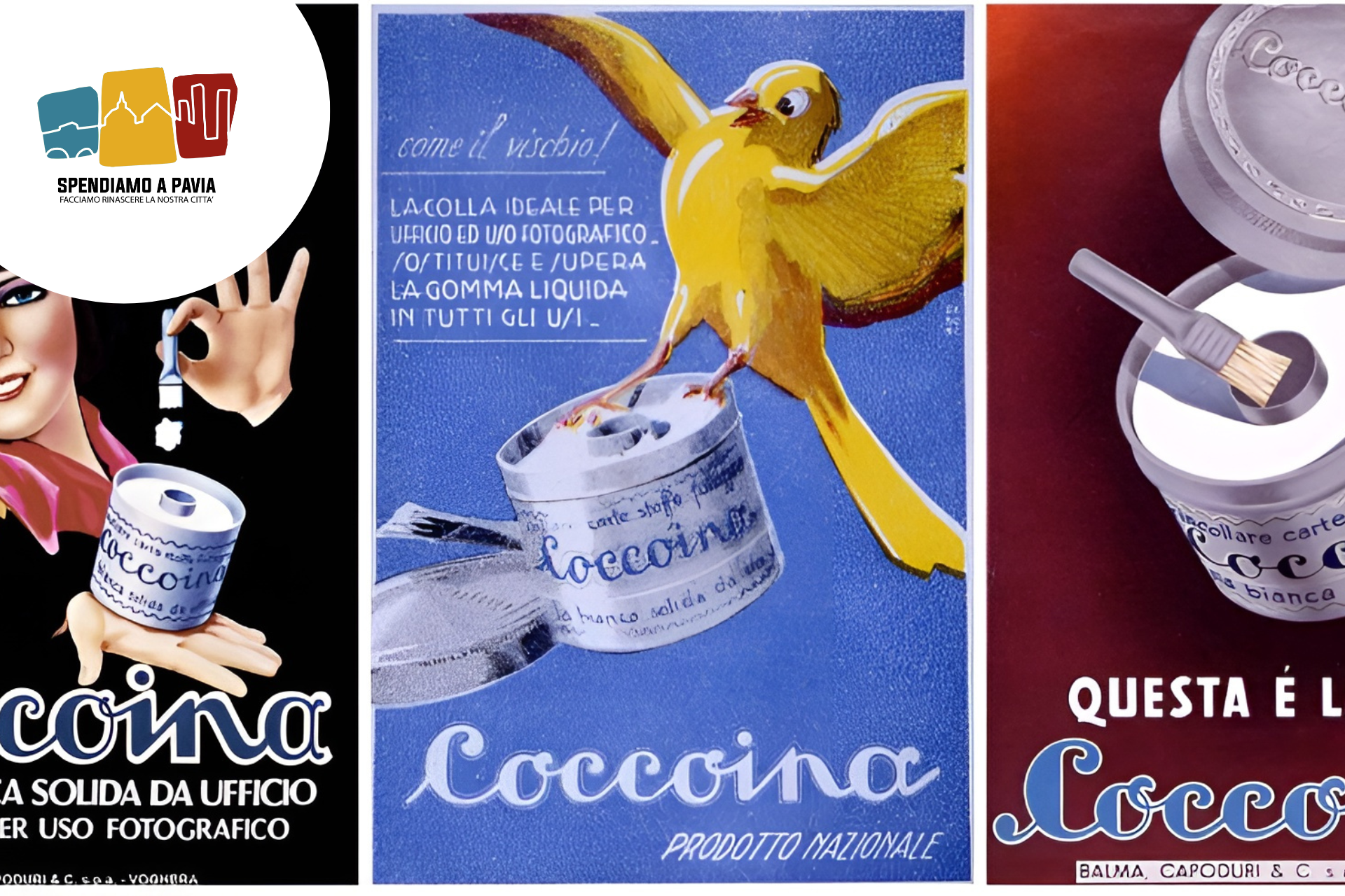 Banner_Coccoina.png