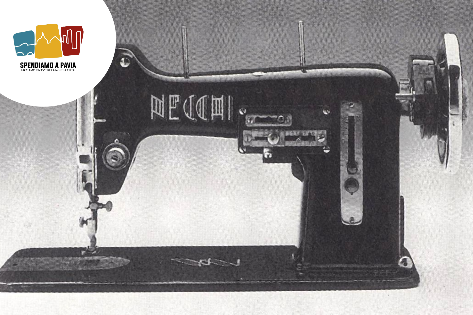 Banner_Necchi.png