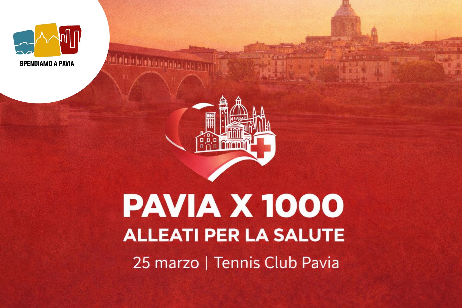 Banner_paviax1000.jpg