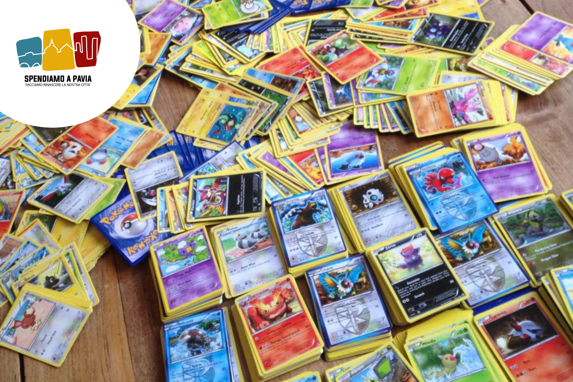 Banner_pokèmon.png