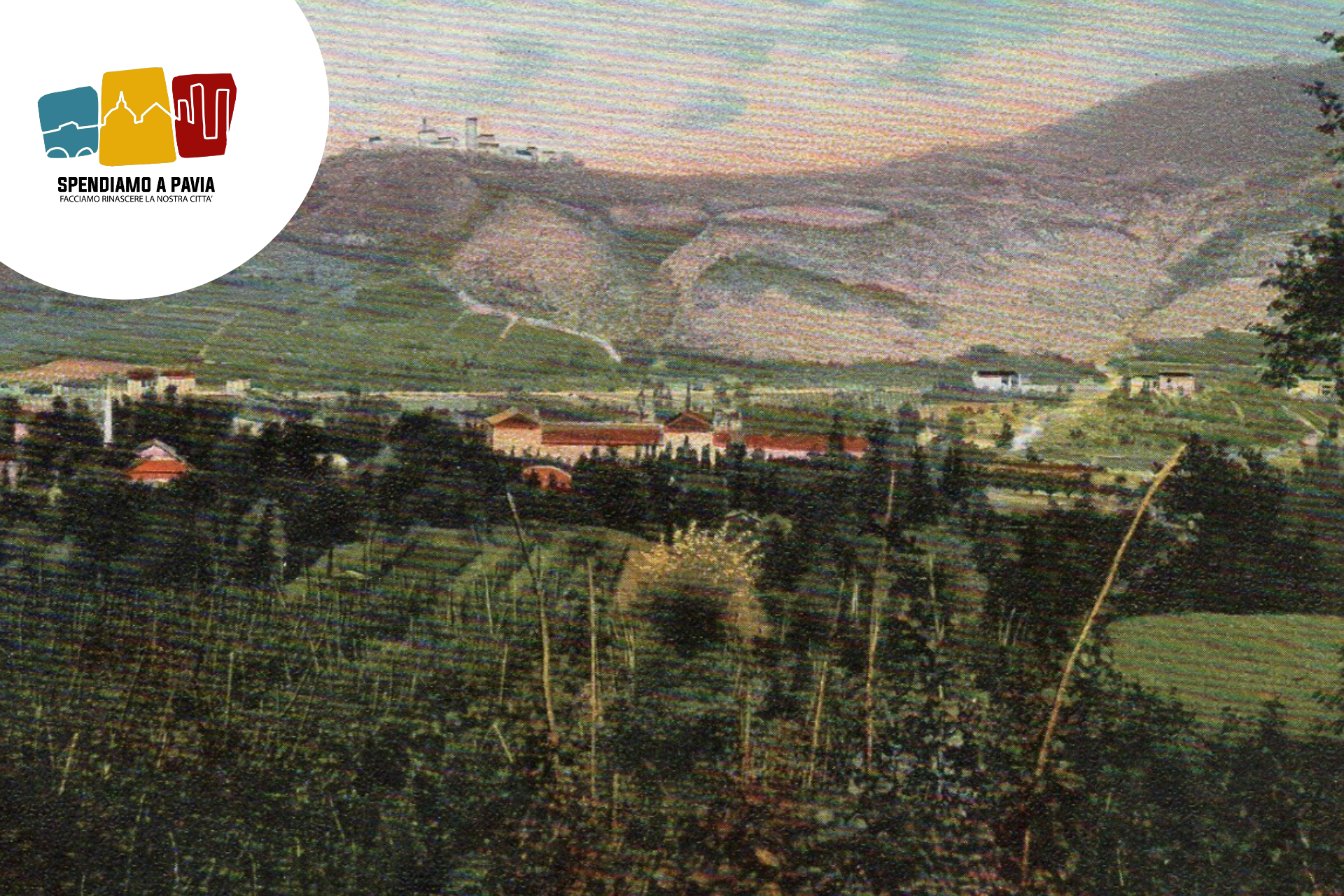 Banner_salice_terme.png