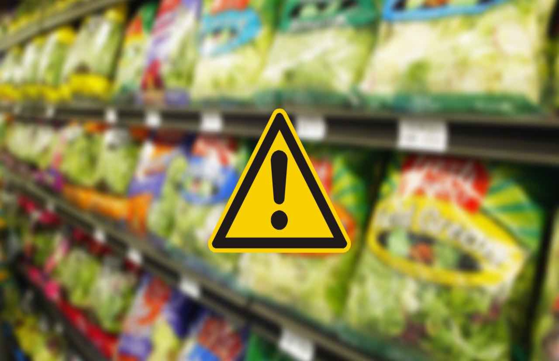 Insalate in busta, troppi pesticidi: solo 5 su 26 superano il test.