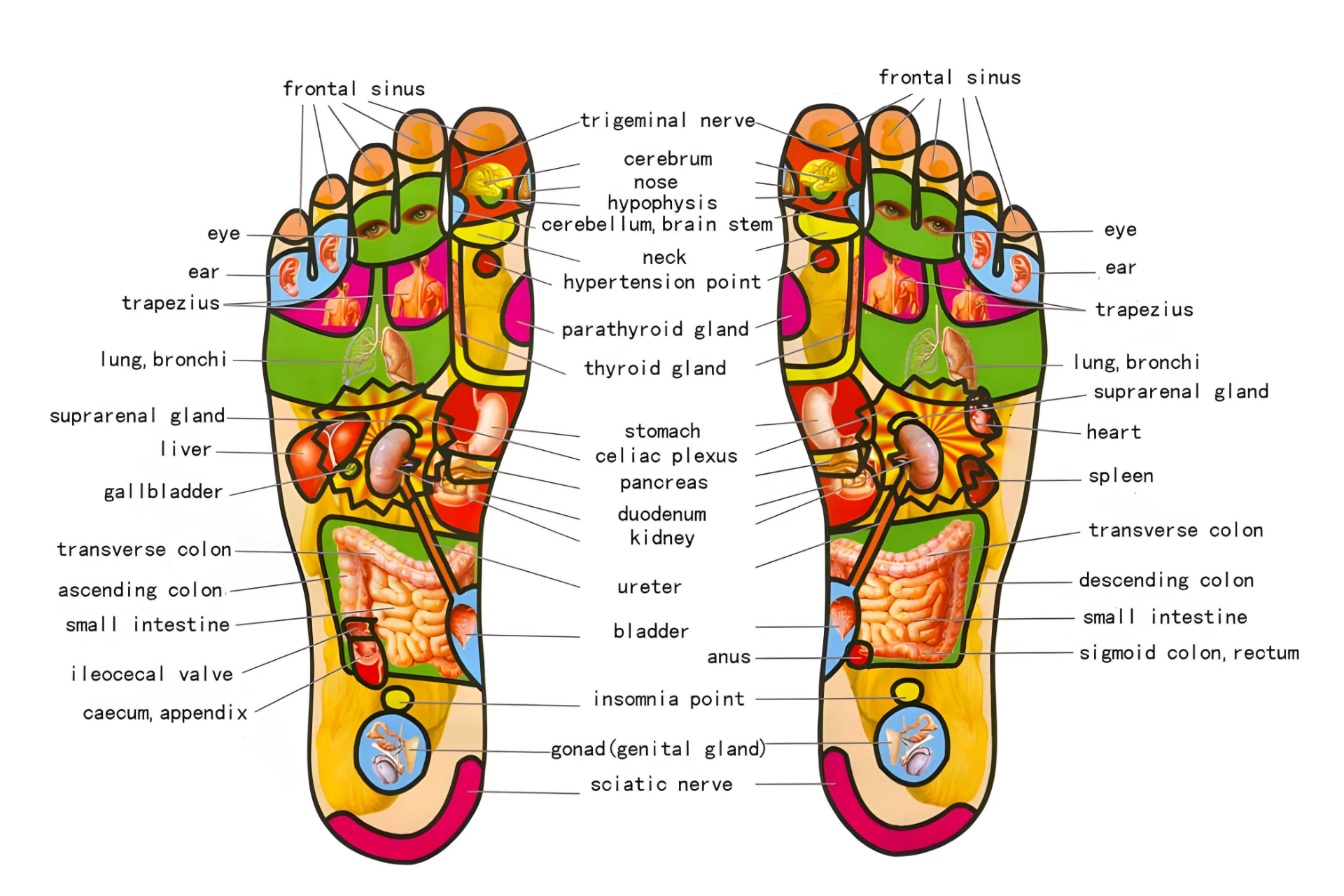 Thai Foot Massage