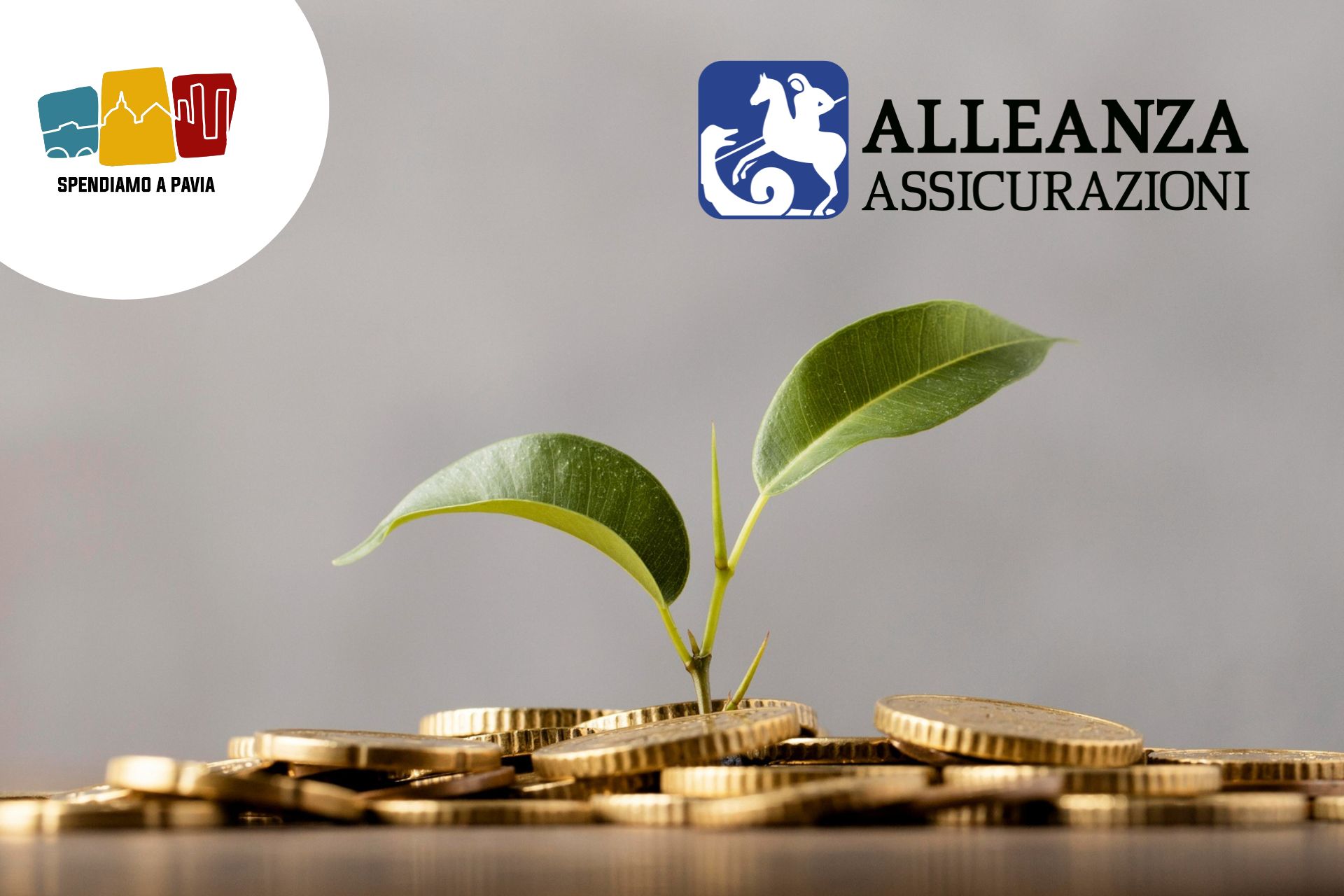 Alleanza Assicurazioni: “Solo 4 italiani su 10 sono finanziariamente competenti”. L’allarme sull’educazione economica e previdenziale