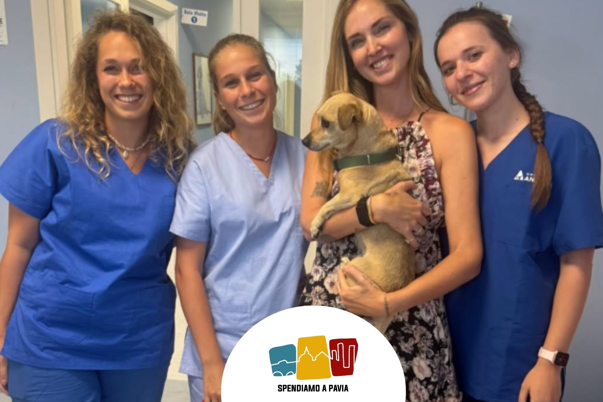 Cagnolino trovato a Casteggio, Chiara Ferragni cerca i proprietari