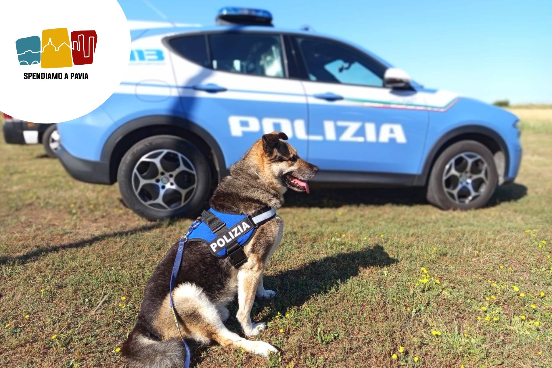 Pavia, controlli straordinari nell’ex piscina Folperti: via alle verifiche contro degrado e occupazioni abusive