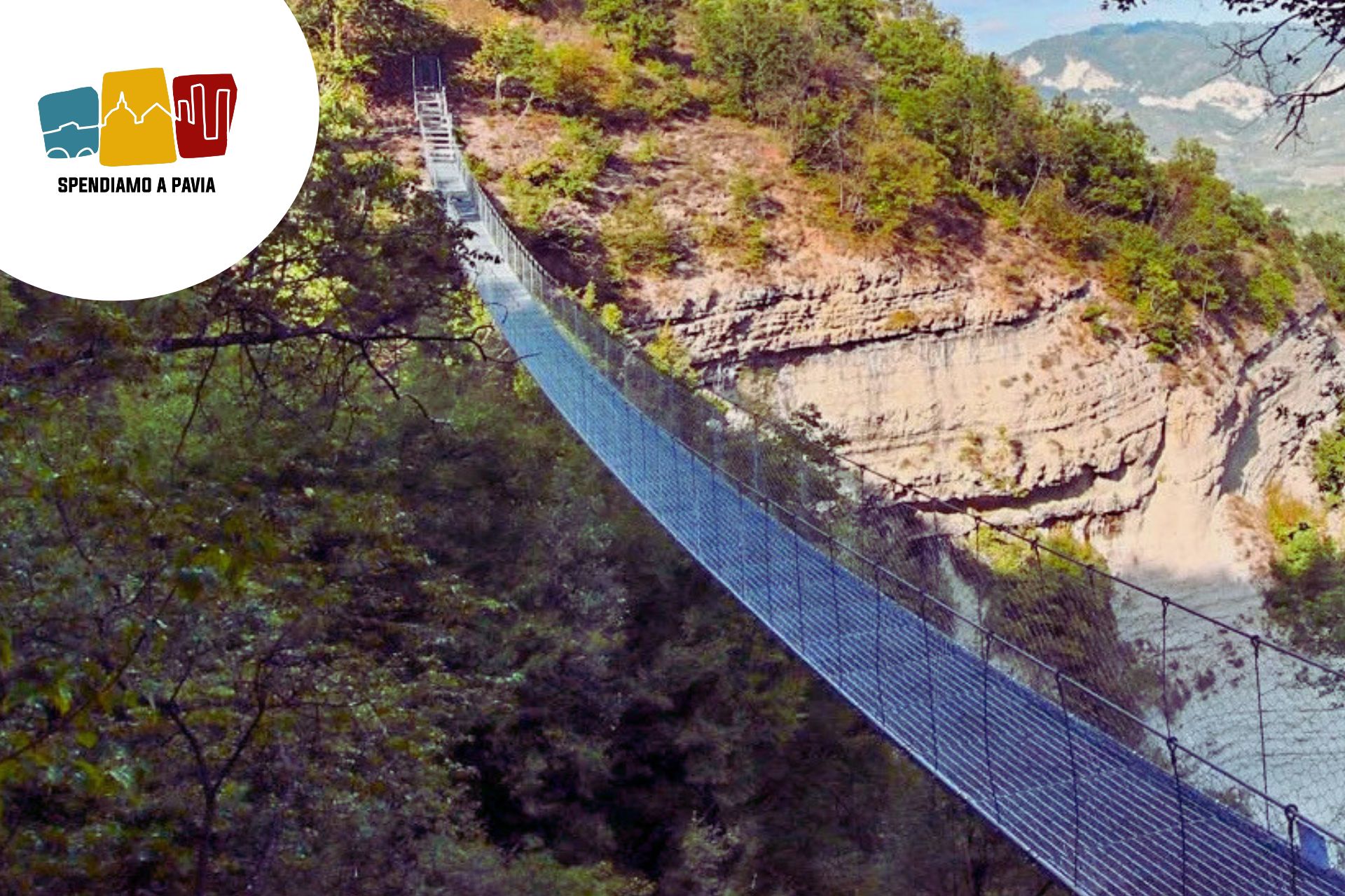 Ponte.jpg