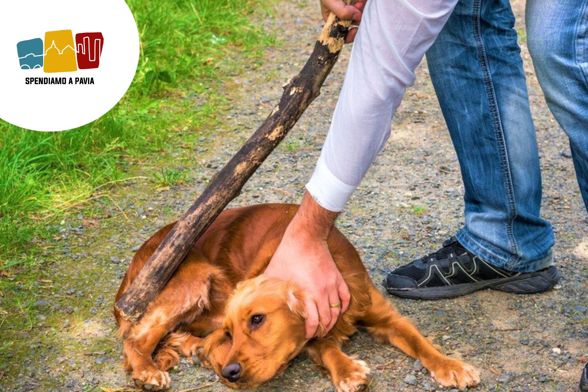 cane.jpg