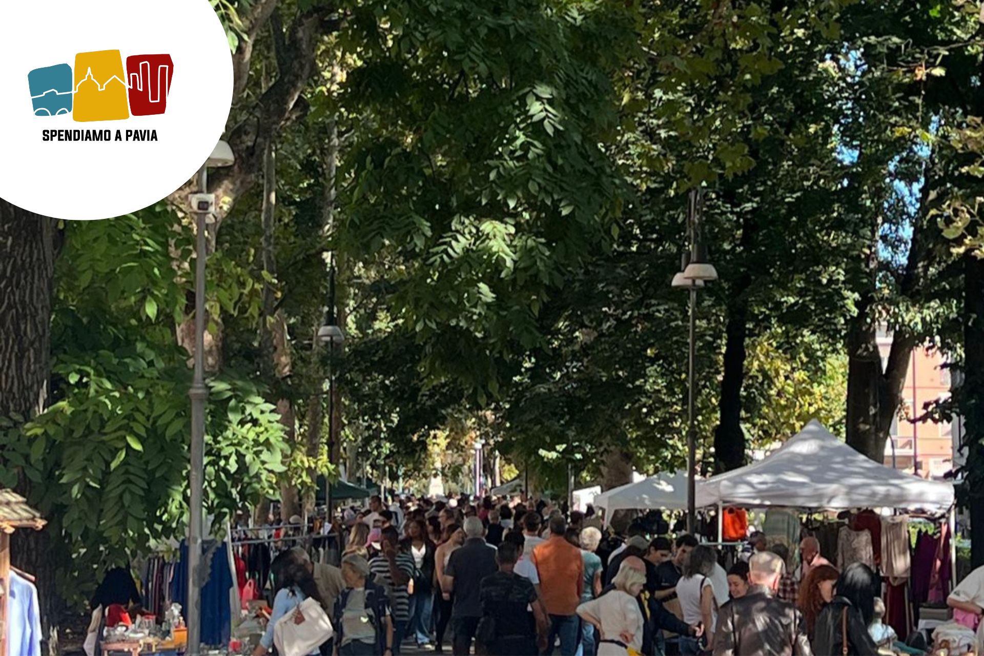 Mercatino del Ri-Uso a Pavia: tre appuntamenti primaverili tra sostenibilità e occasioni