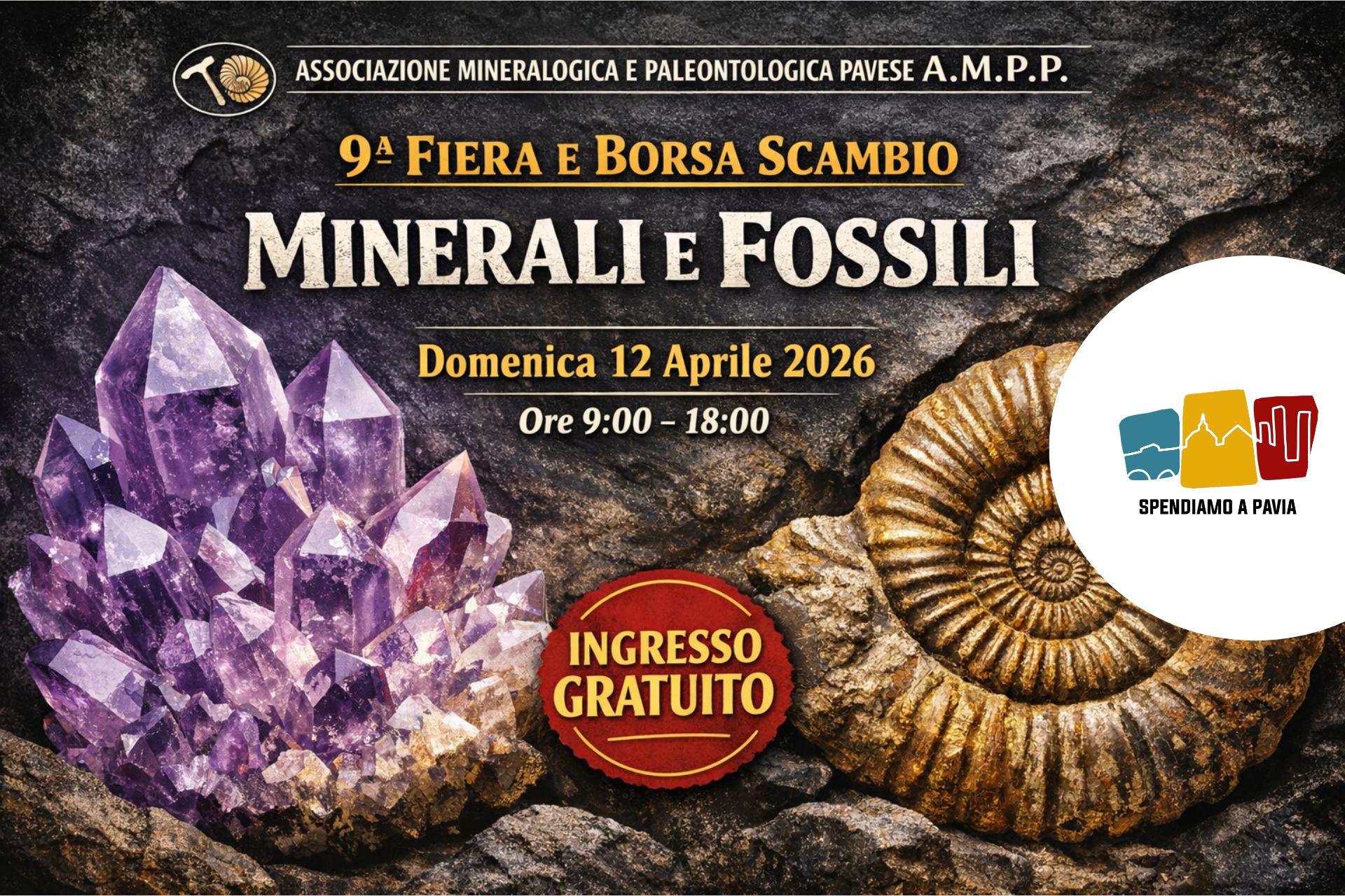 Minerali e fossili protagonisti a San Genesio: torna la 9ª Fiera dell’A.M.P.P.