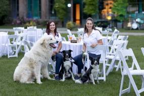 IMG-20240808-WA0023_original