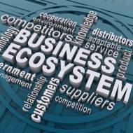 WhatsApp_Image_2026-02-27_at_11.15.38_original