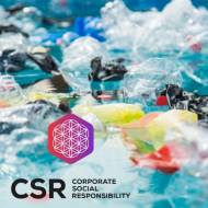 WhatsApp_Image_2026-02-27_at_11.15.40_original