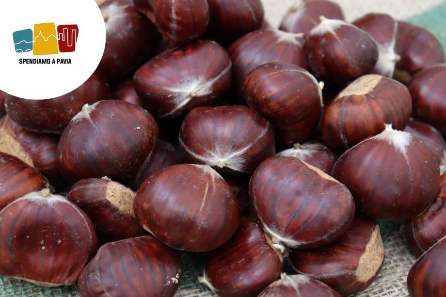 65ª Sagra della Castagna a Pietragavina: Tradizione, Musica e Sapori dell’Oltrepò