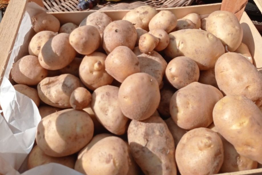 La Patata del Brallo di Pregola