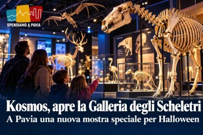 Pavia, al Museo Kosmos inaugura la Galleria degli Scheletri: apertura speciale per Halloween