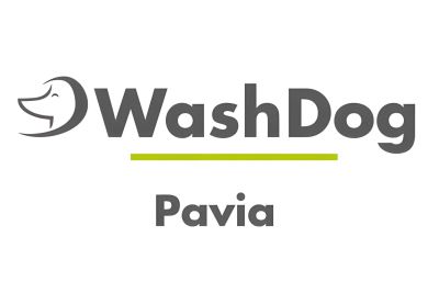 WashDog - Spendiamo a Pavia