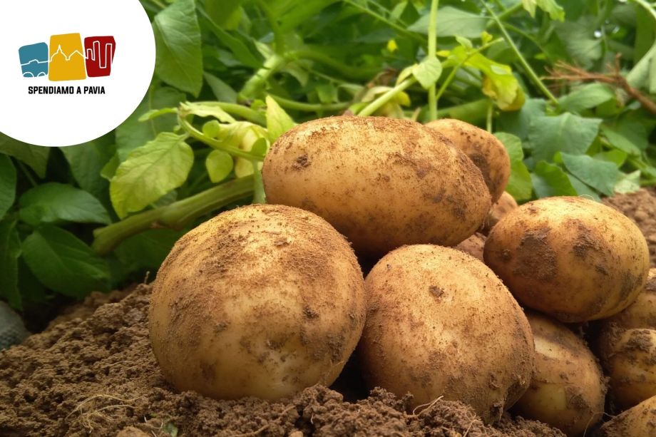 53ª Sagra della Patata a Brallo di Pregola: gusto, tradizione e musica