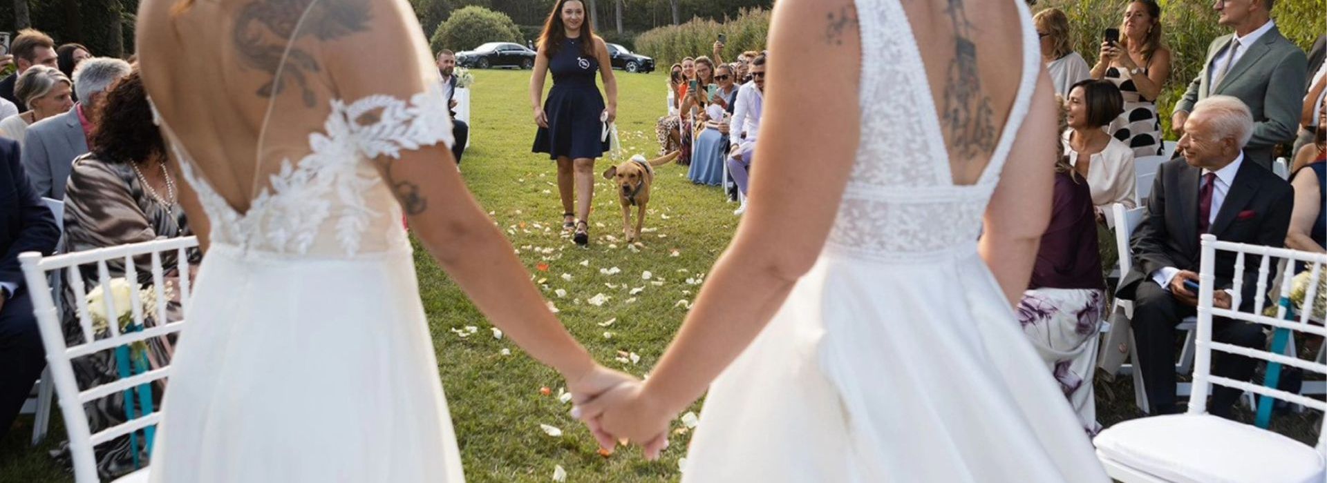 Dog Miss - Spendiamo a pavia