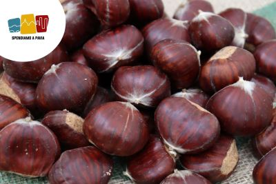 65ª Sagra della Castagna a Pietragavina: Tradizione, Musica e Sapori dell’Oltrepò