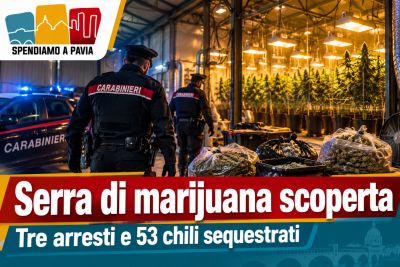 Lomellina, capannone trasformato in una serra di marijuana: tre arresti e 53 chili sequestrati