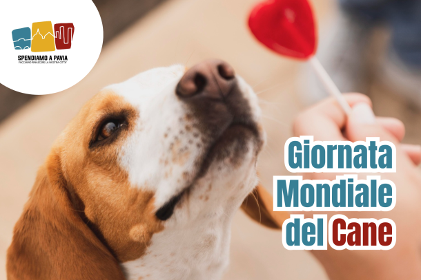 Giornata Mondiale del Cane: Pavia rende omaggio agli amici a quattro zampe con amore, cura e memoria
